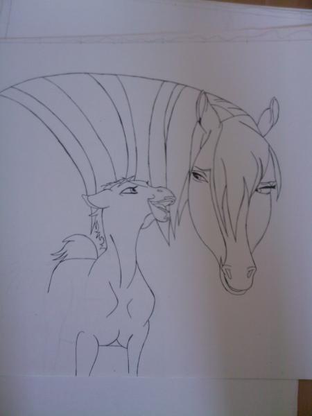 un cheval et son petit